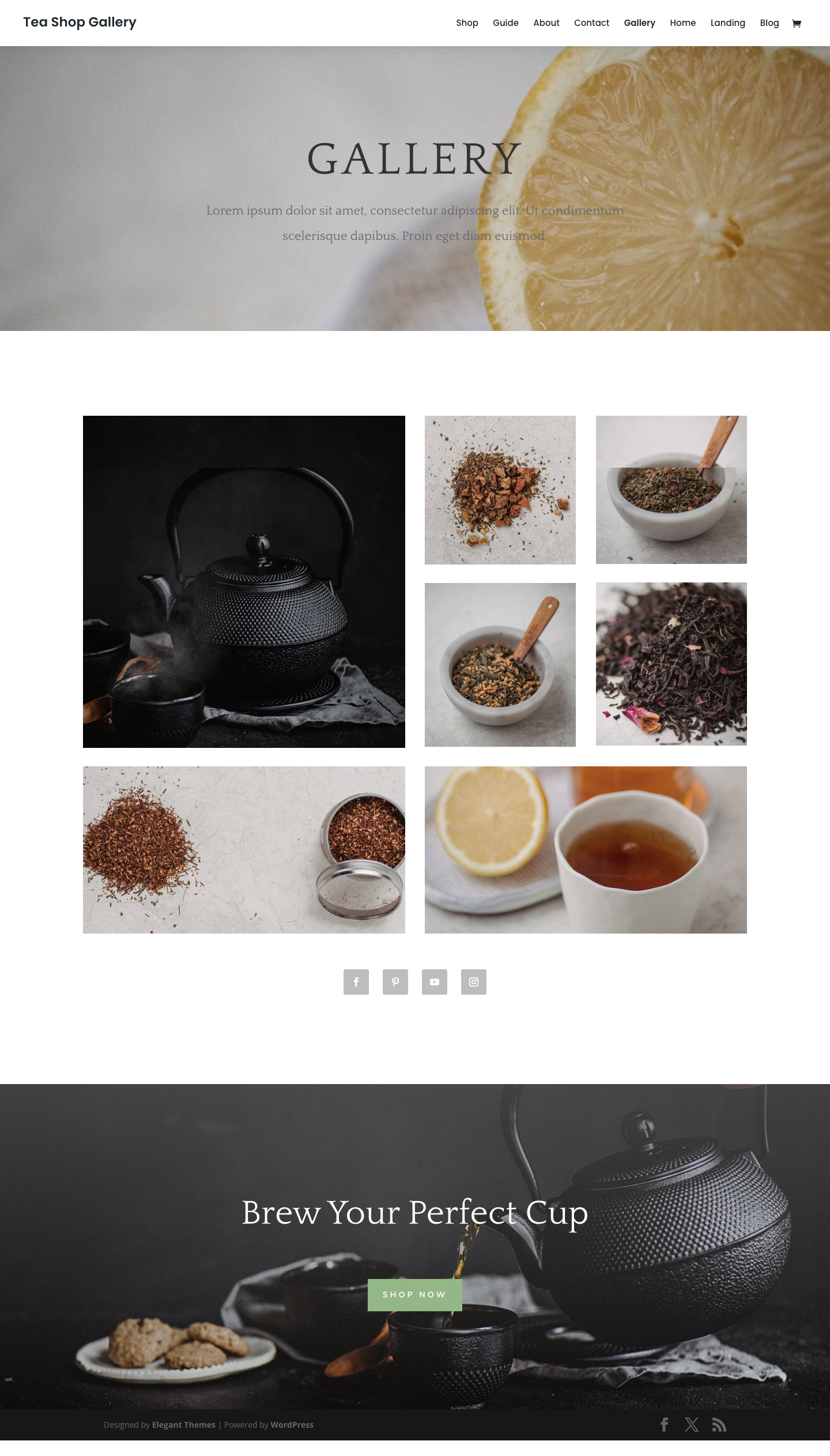 Galéria megnyitása